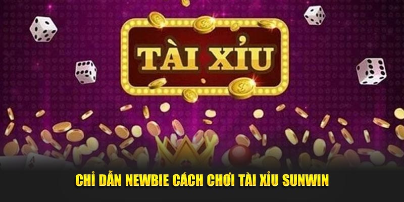 Chỉ dẫn newbie cách chơi tài xỉu Sunwin