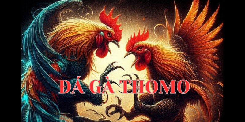 Sơ lược về trò chơi đá gà thomo